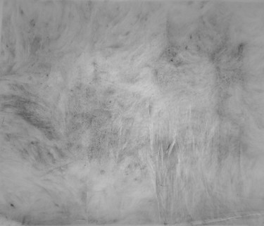 Subtile 2 图画 标题为“Subtile 2” 由Elisabeth Laplante, 原创艺术品, 铅笔