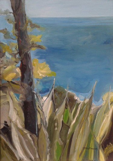 Painting titled "Vue sur la mer" by Brigitte Starckmann, Original Artwork, Oil