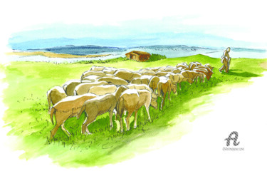 Dessin intitulée "Berger et ses mouto…" par Agnès Molinaro, Œuvre d'art originale, Aquarelle