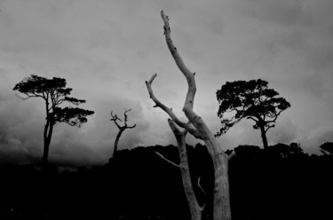 제목이 "brumes"인 사진 François Carage로, 원작
