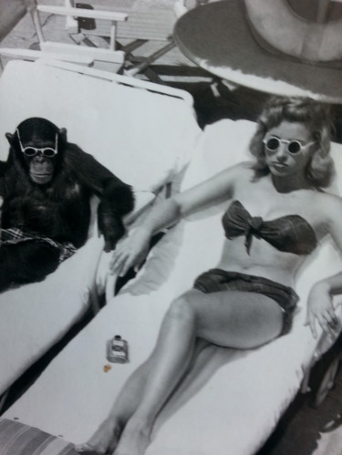 2  CamPari  on ICE , please