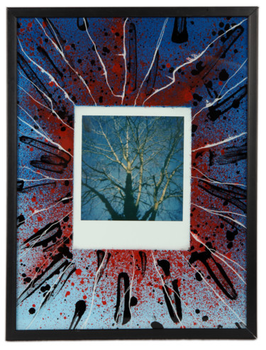 Photographie intitulée "peuplier églo" par Béopé, Œuvre d'art originale, Photographie manipulée