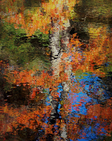 摄影 标题为“Jaffery Autumn Abst…” 由Bavosi Photoart, 原创艺术品, 数码摄影