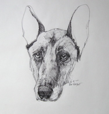 Drawing titled "Murphy2016" by Em Bryant, Original Artwork