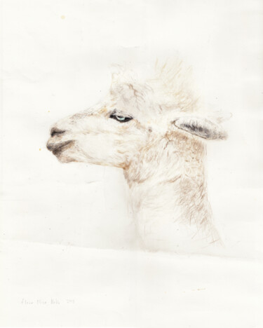 Alpaca Profile