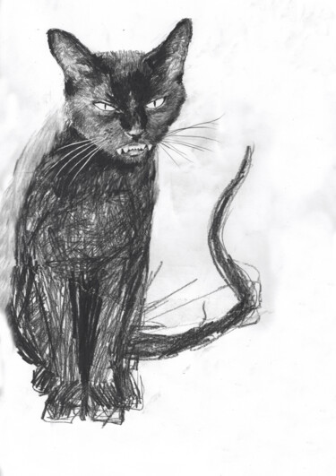 Black Cat