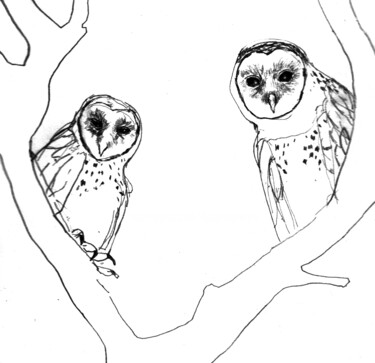 Owls