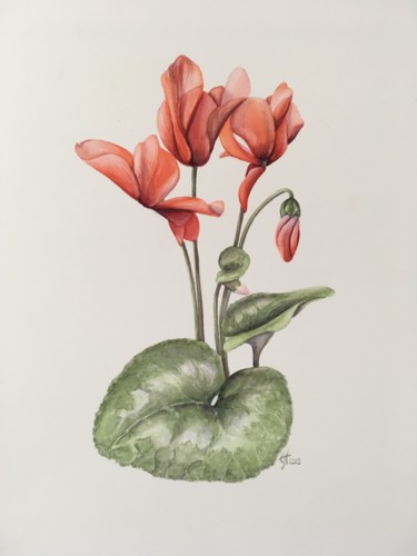 Pintura titulada "Cyclamen" por Liz Hansen, Obra de arte original, Acuarela