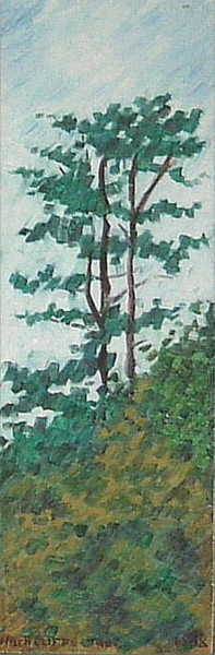 Highcliffe Tree