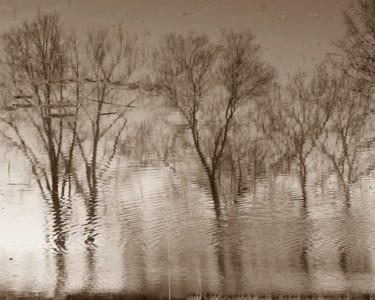IMPRESSIONISM XXXV, Ltd. Ed. 1/12, Large Canvas Photography titled "IMPRESSIONISM XXXV,…" by Curtis H. Jones, Original Artwork, Digital Photography Mounted on Wood Stretche…
