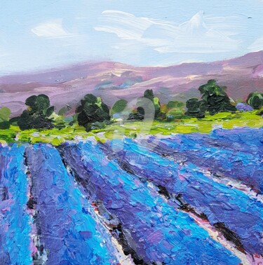 The colors of the lavenderfields in the Provence 2