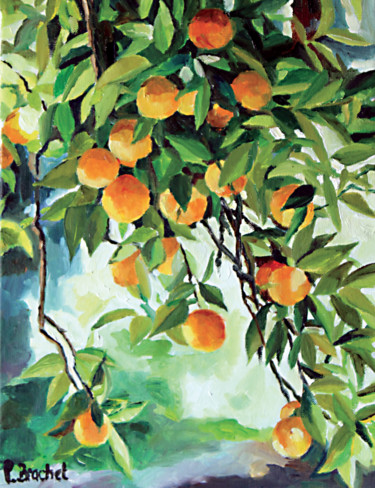 Malerei mit dem Titel "Oranger à Séville" von Pascal Brachet, Original-Kunstwerk, Öl