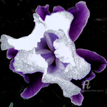 Arts numériques intitulée "L'iris - photo & ar…" par Guylaine Bisson (GuyL'ART), Œuvre d'art originale, Photo montage