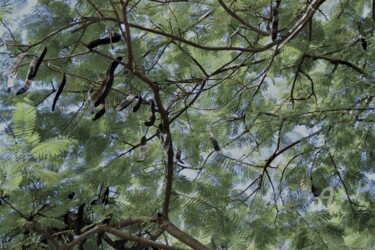 Photographie intitulée "Ciel Tisane&Bienfai…" par Féemerode, Œuvre d'art originale, Photographie non manipulée