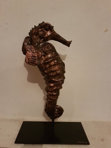 Sculpture titled "hyppocampe" by Christophe Hervé, Original Artwork, Clay