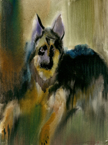 Young Dog