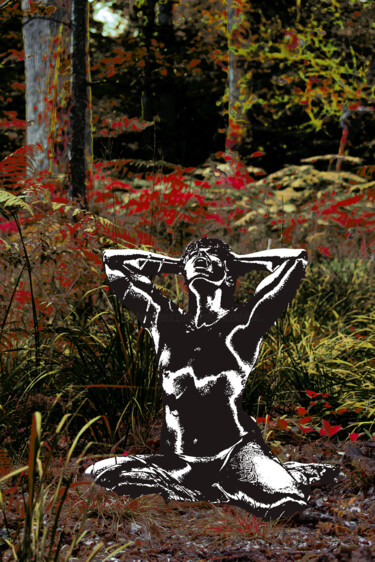 Photographie intitulée "CHOC 01" par Frédéric Didillon, Œuvre d'art originale, Photographie manipulée
