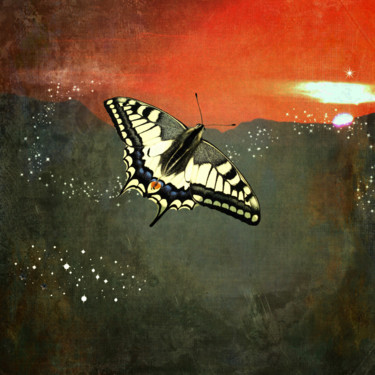 Stardust Digital Arts titled "Stardust" by Roxana Ferllini, Original Artwork, 2D Digital Work