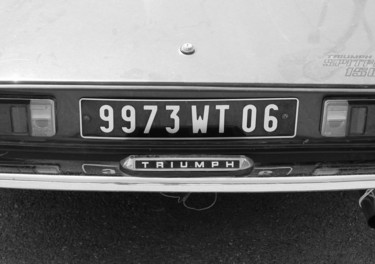 Фотография под названием "Triumph" - Nikolay Biryukov, Подлинное произведение искусства, Цифровая фотография