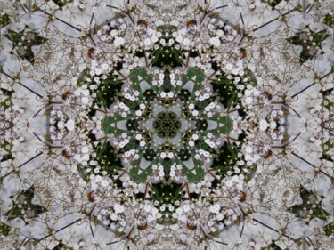 Arts numériques intitulée "Gypsophile" par Adèle Vahn, Œuvre d'art originale, Travail numérique 2D