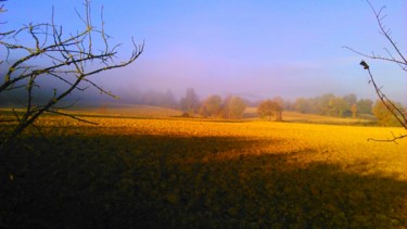 Couleurs dans la brume