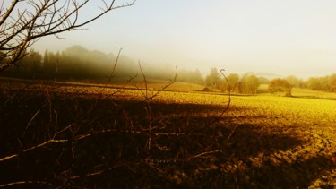 Couleurs du matin