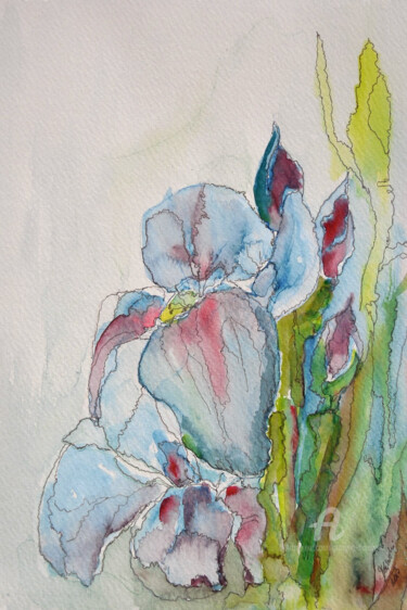 Malerei mit dem Titel "red irys, Hajewski…" von Grazyna Hajewski, Original-Kunstwerk, Aquarell