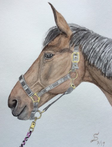 Malerei mit dem Titel "Ginger" von Stefan Dhein, Original-Kunstwerk, Aquarell
