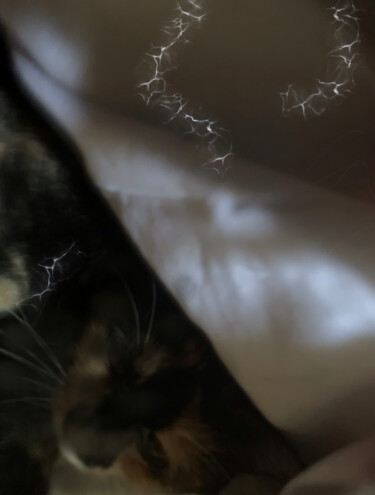 Arte digital titulada "Kitty" por Mike Williams, Obra de arte original, Trabajo Digital 2D