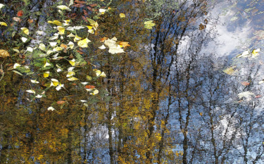 Nostalgie : Au vent des souvenirs perdus Fotografie mit dem Titel "Nostalgie : Au vent…" von Michel Guillaumeau, Original-Kunstwerk, Digitale Fotografie