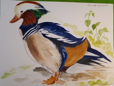 Peinture intitulée "le canard mandarin" par Chris Texier, Œuvre d'art originale, Aquarelle