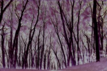 Digital Arts titled "Les Spectres du Pri…" by Germaneart, Original Artwork, Digital Painting