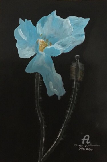 Blue poppy