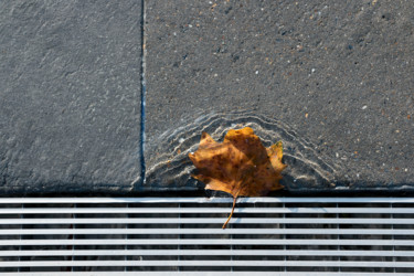 Photography titled "Photographie 0835-43" by Sylvie Dessert (Syl), Original Artwork, Non Manipulated Photography
