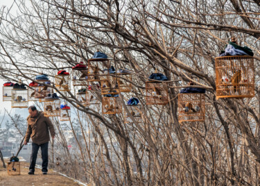 Photography titled "Birdcages (Ready To…" by Serge Horta, Original Artwork, Digital Photography