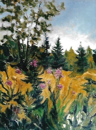 flora alpina