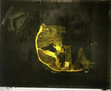 数字艺术 标题为“Zest de Citron” 由Philippe Berthier, 原创艺术品, 照片蒙太奇