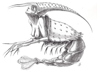 Drawing titled "Sweet shrimp" by Victor Molev, Original Artwork, Ink