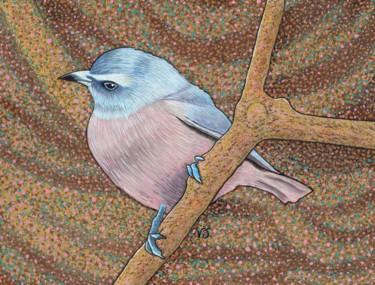 Pittura intitolato "White Browed Wood S…" da Vikki Jackson, Opera d'arte originale, Acrilico Montato su Cartone