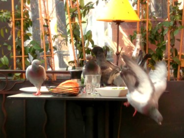 un appétit d'oiseau.(marseille) Photographie intitulée "un appétit d'oiseau…" par Bernard Vergier, Œuvre d'art originale, Photographie numérique