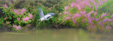 제목이 "Heron en majesté"인 사진 Michel Guillaumeau로, 원작, 디지털
