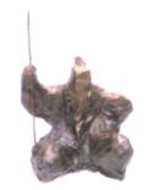 Sculpture titled "jovemguardi_oI.jpg" by Aldo Luiz De Paula Fonseca, Original Artwork