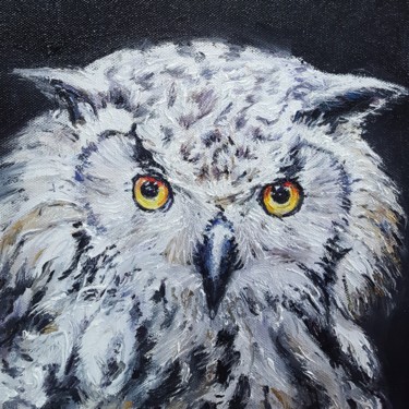 Painting titled "Белая сова" by Natali Didukh, Original Artwork, Oil