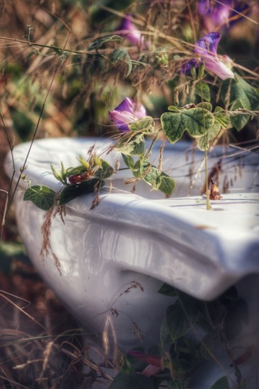 Photographie intitulée "Les toilettes fleur…" par Céline Pivoine Eyes, Œuvre d'art originale, Photographie numérique
