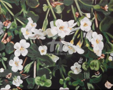 Little Flowers