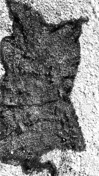 Fotografia intitolato "BLACK GHOSTNET" da Mangani', Opera d'arte originale, Fotografia digitale