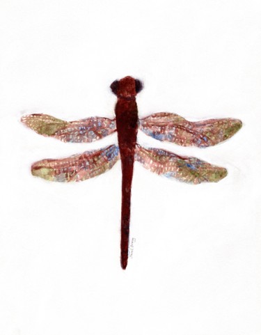 Dragonfly on Creekside Lane 1.5