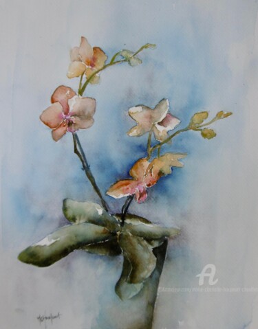 Peinture intitulée "Orchidée" par Marie-Charlotte Houpeurt-Chauffeté, Œuvre d'art originale, Aquarelle