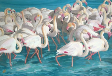 Réveil de flamands roses 1