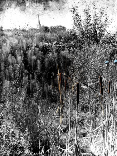 Ma campagne.  Dessin sur photographie